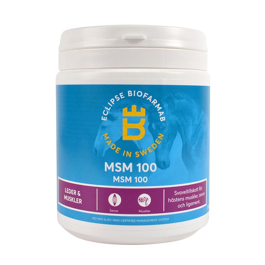 MSM 100, 500g  