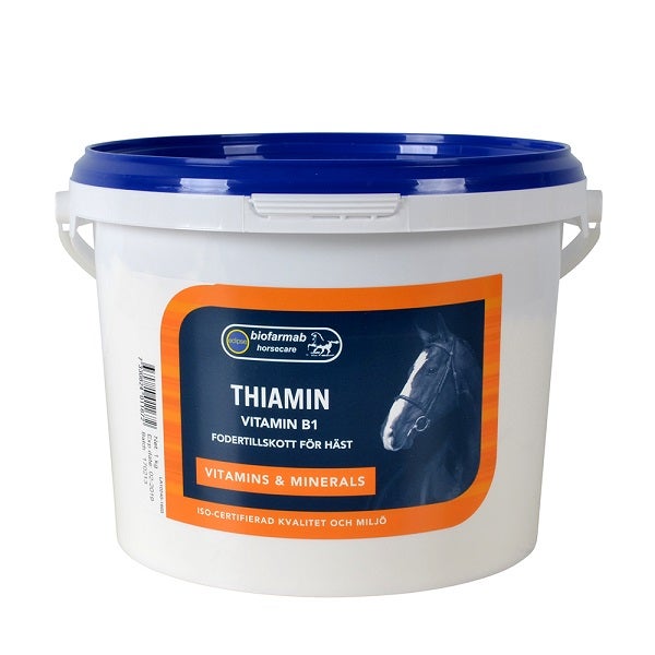 Thiamin Biofarmab 1 kg