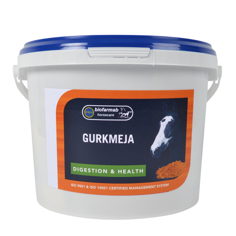 Gurkmeja 30x20 g