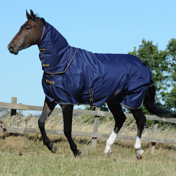 Bucas Irish Combi Neck, 155/xl, Navy/gold