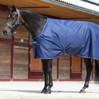 Bucas Irish Stable Light/50 125 Navy/silver