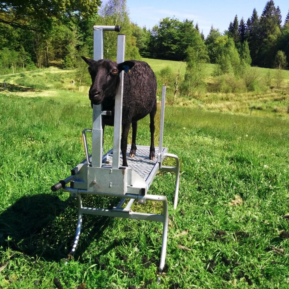 Klippstol Knarrhults
