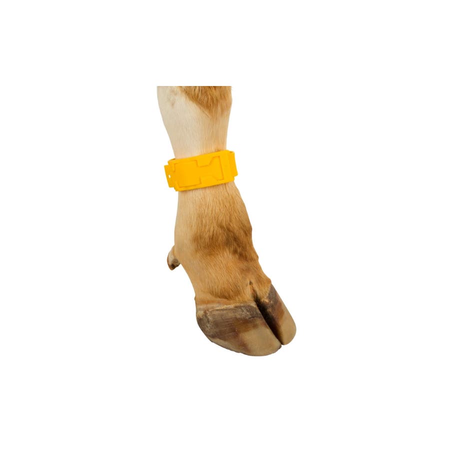 Vristband plast 37 cm, gul