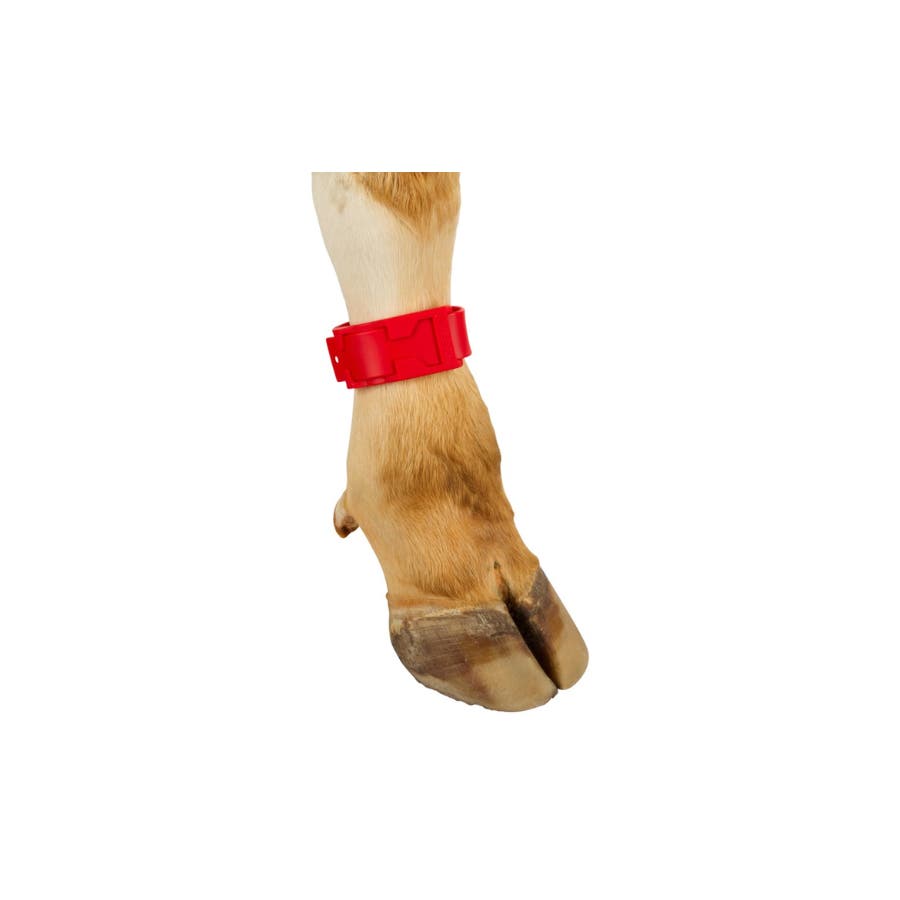 Vristband plast 37 cm, röd