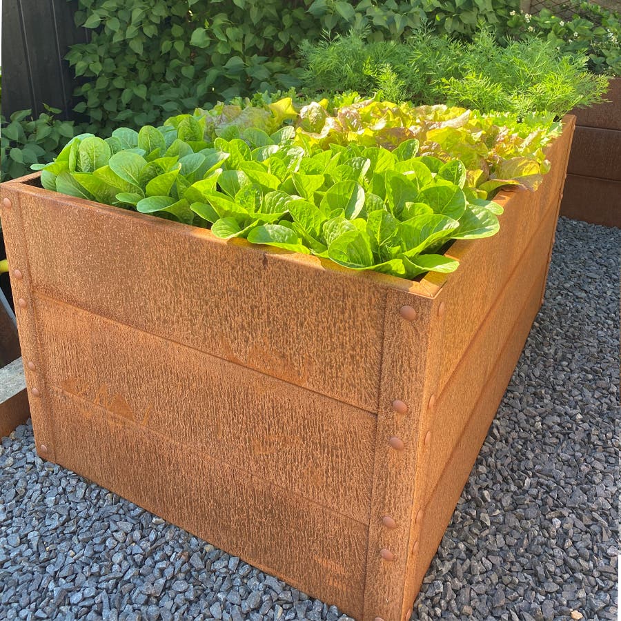 Odlingslåda Flexigarden komplett