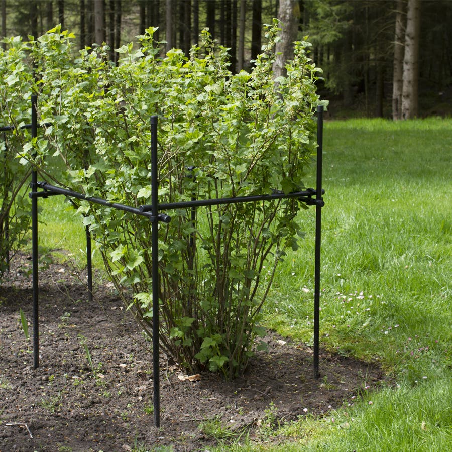 Växtstöd Flexigarden Justerbart