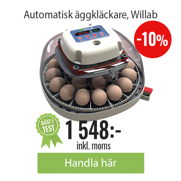 Kampanj Willab Äggkläckare